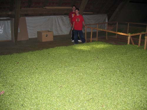 dryingfloor.jpg