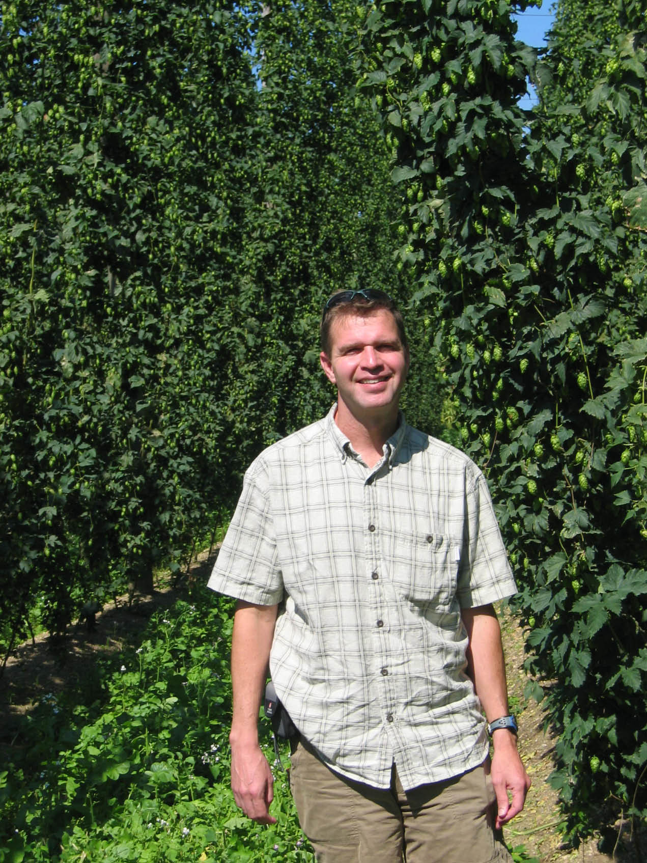 hopfields4.jpg