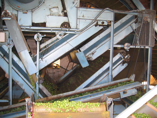hopseparator.jpg